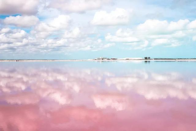 墨西哥娃娃岛的基本资料，墨西哥有个娃娃岛，你敢来吗