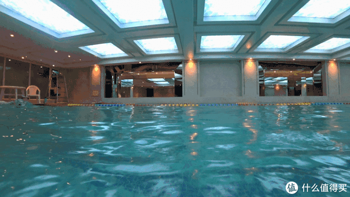 游泳教学零基础新手自由泳小技巧，自由泳的基础动作