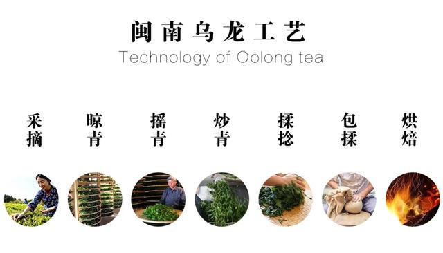 大桶乌龙茶饮料，桔品课堂你不知道的闽南乌龙