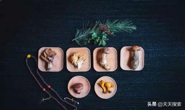 姬松茸十种吃法，林芝松茸的一万种