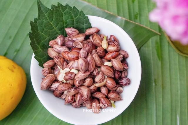 云南的特色茶宴，保山施甸：茶叶宴