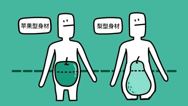 苹果型肥胖怎么减肥(苹果型肥胖是什么意思)