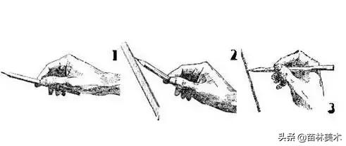 学画画零基础先学什么，零基础素描应该先练什么（零基础绘画教程，值得收藏）