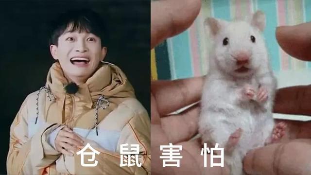 周深成名后有什么变化，出道7年从被淘汰