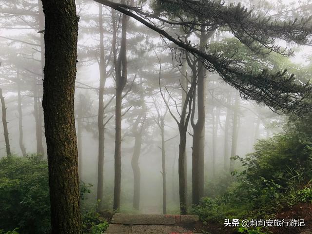 徒步南迦巴瓦峰最佳观景台，雾中徒步薄刀峰
