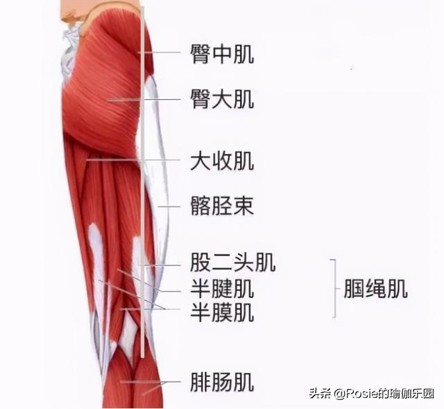 想要倪妮同款好身材，除了減脂瘦身，2步美肩瘦腿更優雅 健身減肥達人 第20张