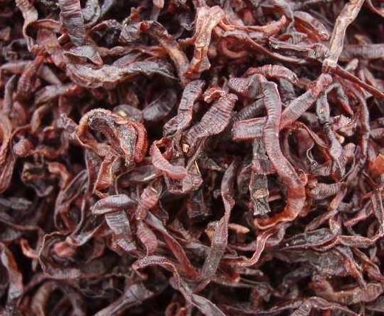 菲律宾必吃的十大美食，受中国美食影响的菲律宾食物