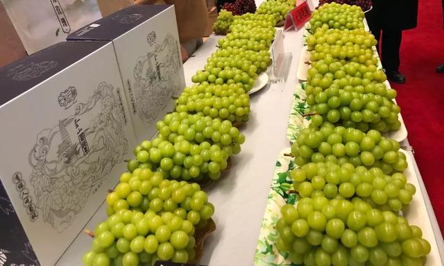 吃过云南这十种名果的人，云南十种野果吃法