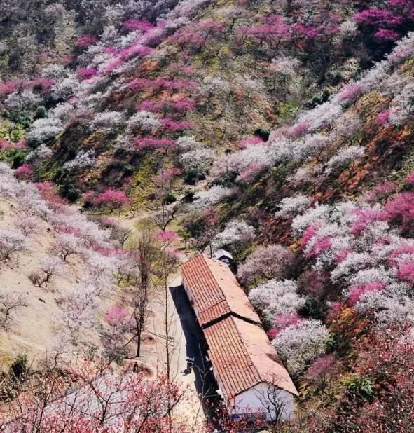 适合12月份去的旅行地，2月绝美旅行地推荐