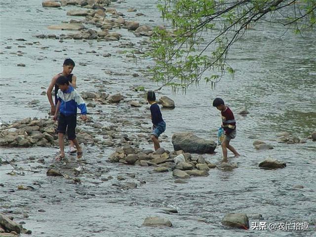 农村深山抓鱼，贵州农村举行抓鱼比赛