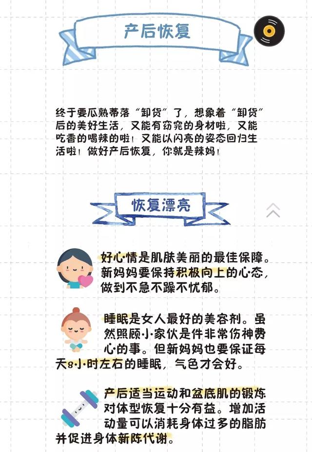 猫的生育常识和技巧，最全的入门级生育指南