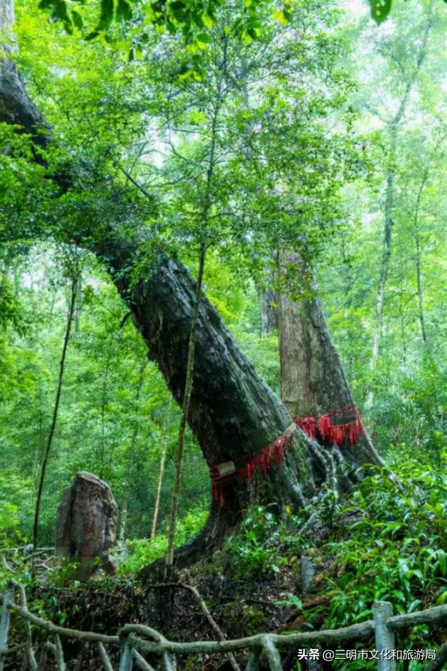 这份旅行攻略让你爱上不一样的三明，三明必去旅游景点推荐一下