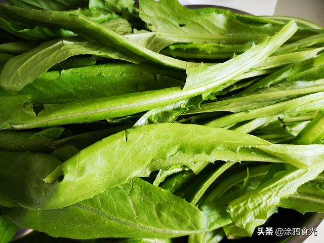 油麦菜凉拌怎么做好吃，油麦菜10种吃法油麦菜怎么凉拌（淋上这样的酱汁）