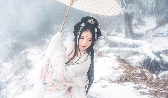 古人发型发簪，古人偏爱的发簪