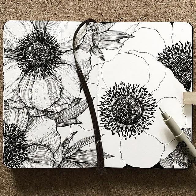 妙笔生花水墨画教程，教科书级别的植物线描