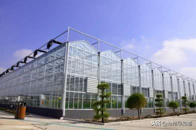 沧州有什么可以游玩的景点，沧州最新最全旅游攻略