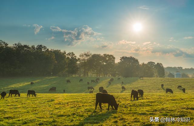 沃尔玛是干什么的，沃尔玛是一家什么样的公司（美国有个超市叫沃尔玛）