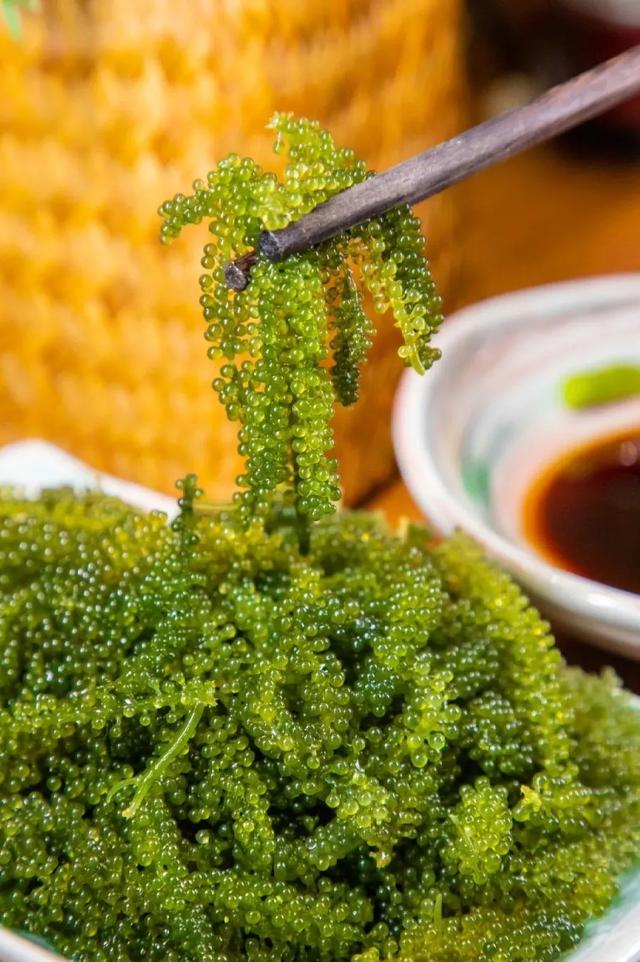 深圳有什么好吃的，深圳有什么美食值得推荐（盘点深圳5区美食）