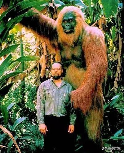 世界最大的淡水哺乳动物，这些动物有一个共同点