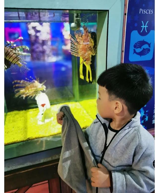 天津海昌极地海洋公园旅游攻略，带着孩子去看鱼