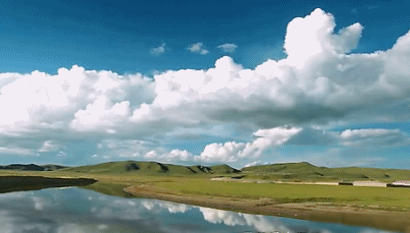 内蒙古所有的美食，我国各地美食代表 <上篇>