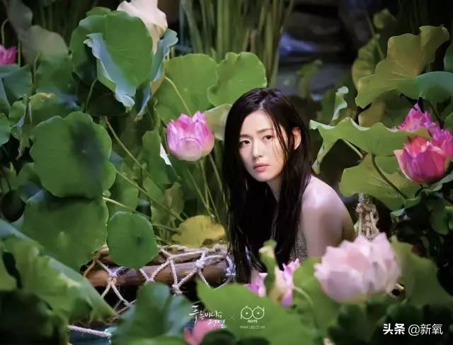 最好看的美人鱼，这四种美人鱼你喜欢哪个