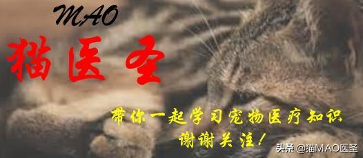 犬脆性糖尿病(犬脆性糖尿病能活多久)