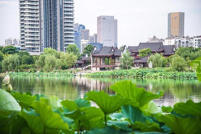 地铁里的美食节目叫什么名字，《乡厨》第一集播出