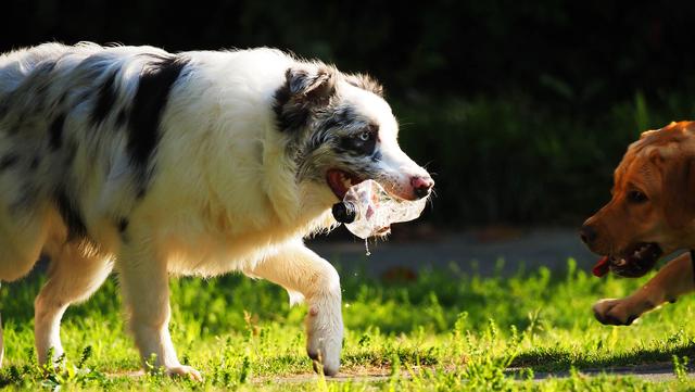 奥林巴斯em1，奥林巴斯em1mark3测评