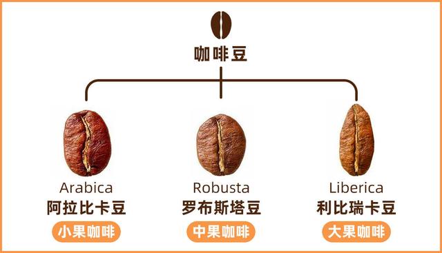 咖啡多少钱一杯，咖啡价目表考验你的理性（缅甸咖啡5毛钱一杯）
