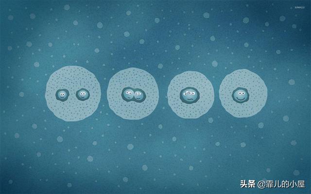 远古时代巨型龙虾，永葆青春真的不再是神话