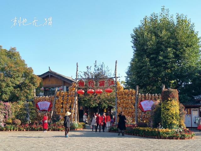 冬天去丽江旅游需要带什么，我为什么推荐你冬天来丽江