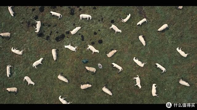 又一部高分科幻剧，10部高分冷门科幻剧集推荐