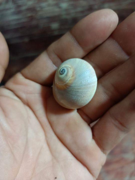 为什么很多人去印尼打工，记录印尼打工生活点滴