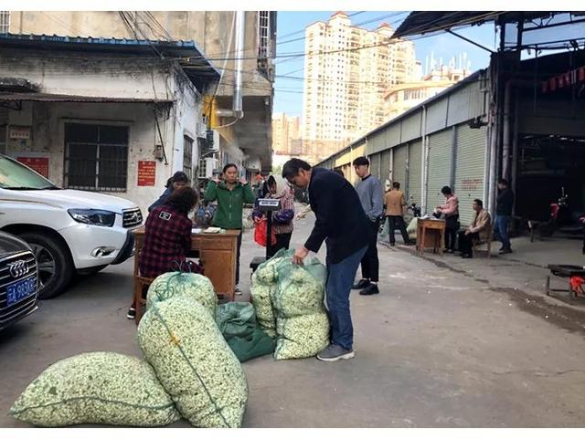 茉莉花茶的作用养护方法，茉莉花茶就是用茉莉花泡的