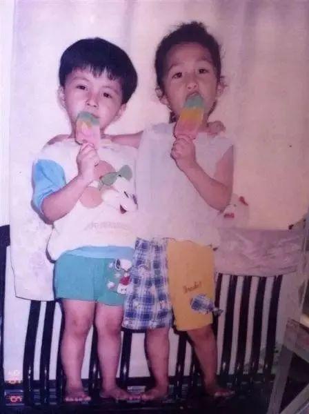 国内哪里的冰淇淋好吃，你家乡有哪些著名的本地冰淇淋品牌