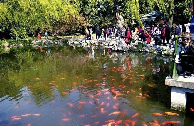 浙江旅游景点大全景点排名，浙江旅游必去十大景点都是哪些（浙江旅游必去的十大景点）