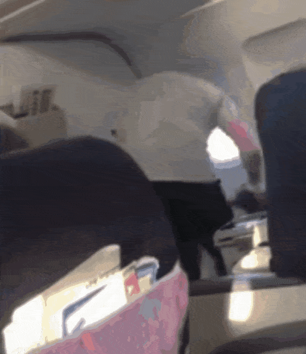 乐嘉和涂磊近况，看完乐嘉的老婆