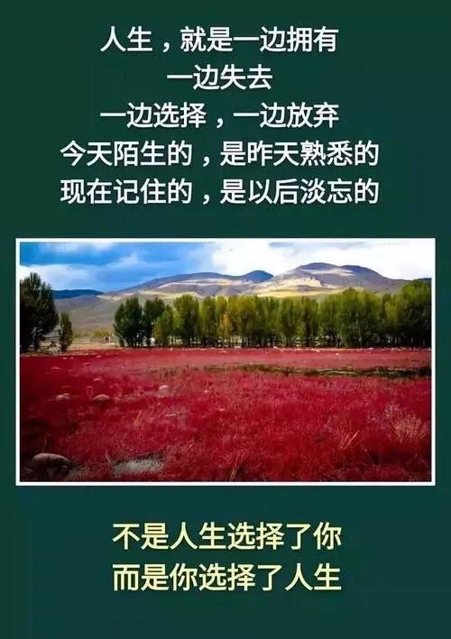 实现人生价值的前提，实现人生价值的前提和基础是什么