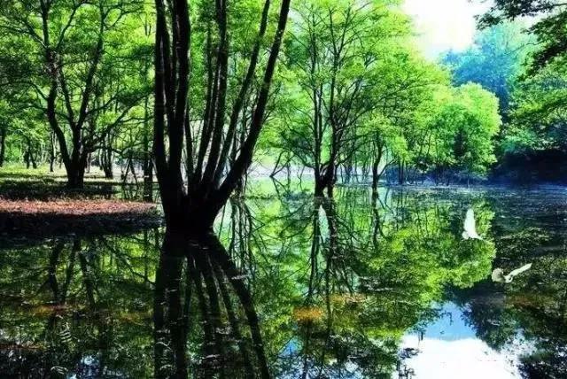 九江免费的旅游景点有哪些，九江最值得去的十大旅游地