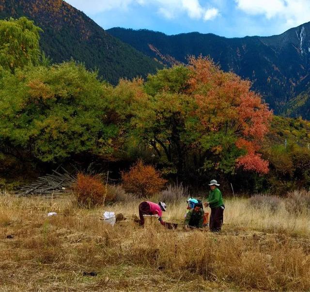 山南旅游景点大全，山南旅游最美景点