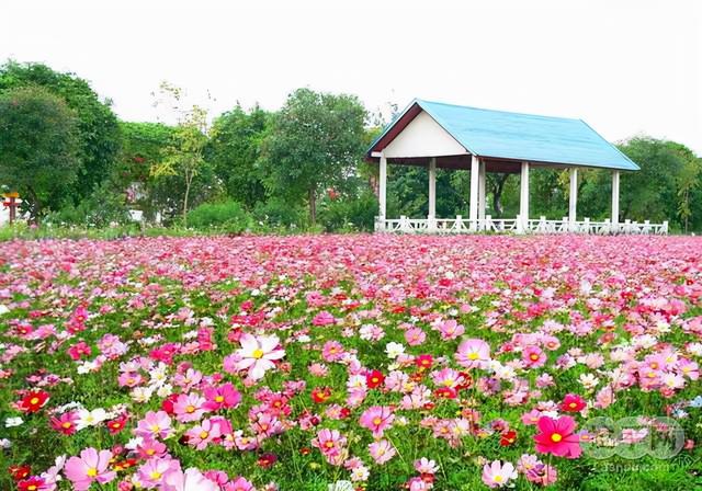 春节广州旅游攻略，春节广州自驾游旅游攻略