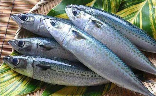 鲅鱼怎么做才好吃，家常鲅鱼这样做最好吃（鲅鱼最好吃的做法）