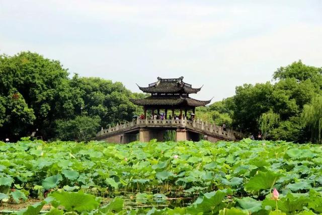 上海周边城市旅游，上海周边旅游攻略自由行三天