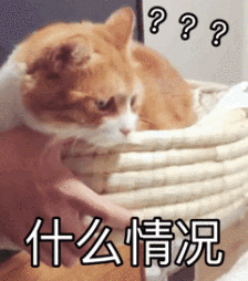 学生腹部肥胖(学生肚子胖)