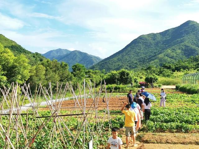 惠州旅游全攻略，广东惠州的正确打开方式