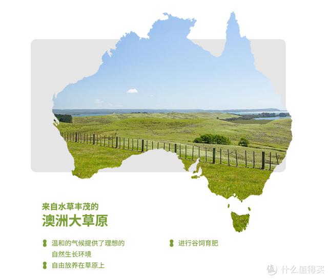 常见的牛排种类和搭配，你需要知道的都在这里