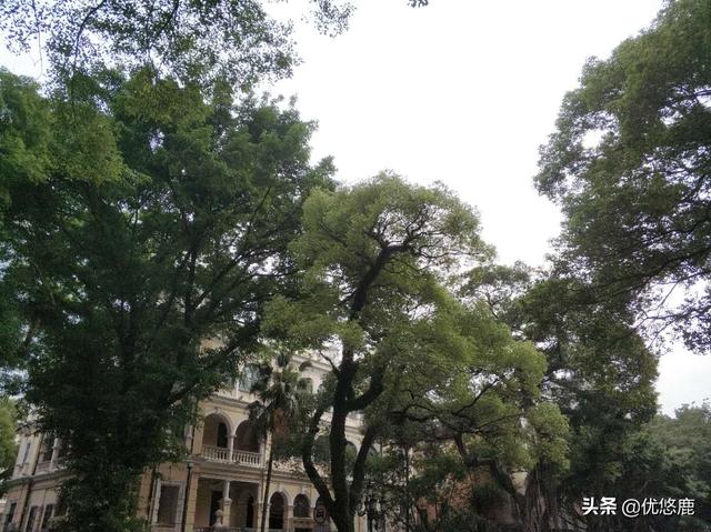 长隆大马戏门票，广州长隆野生动物园哪些项目游玩