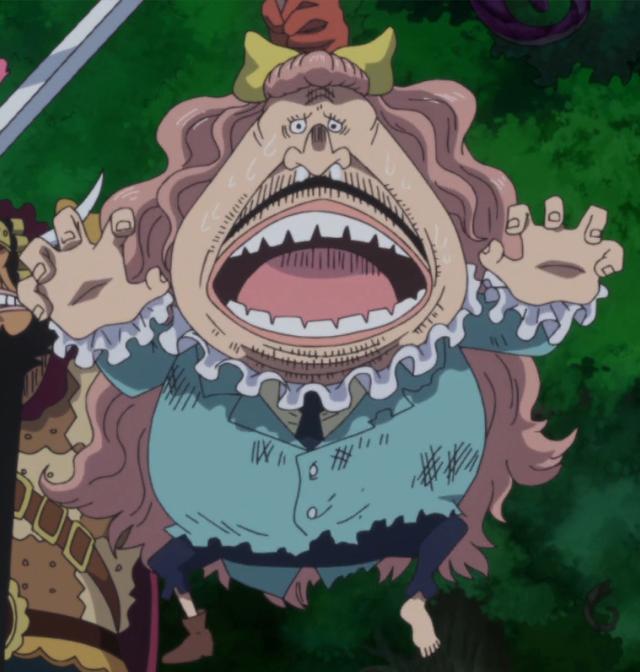 海贼王身高排行前五，海贼王：11位超新星身高排名