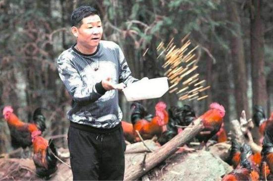 康熙微服私访记4小桃红片段，康熙微服私访记出现回忆杀
